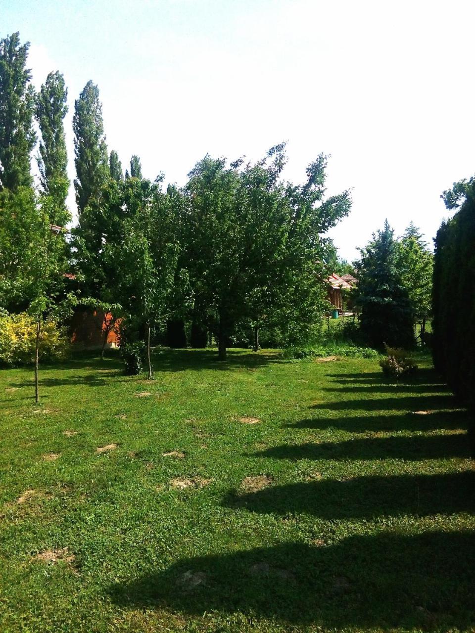 Benaja Swiss Nyaralohaz Villa Keszthely Exterior foto